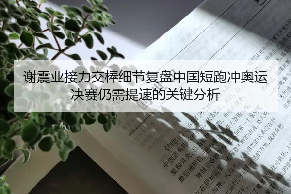 谢震业接力交棒细节复盘中国短跑冲奥运决赛仍需提速的关键分析