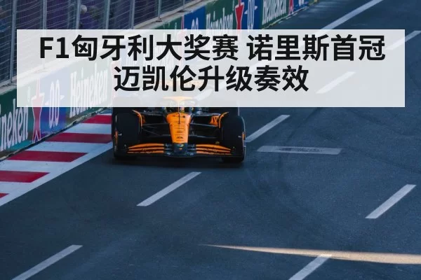 McLaren F1 car upgrade