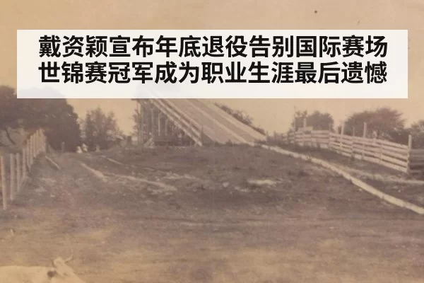 戴资颖宣布年底退役告别国际赛场 世锦赛冠军成为职业生涯最后遗憾